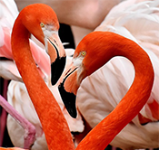 818 World Holdings Ltd. Co.